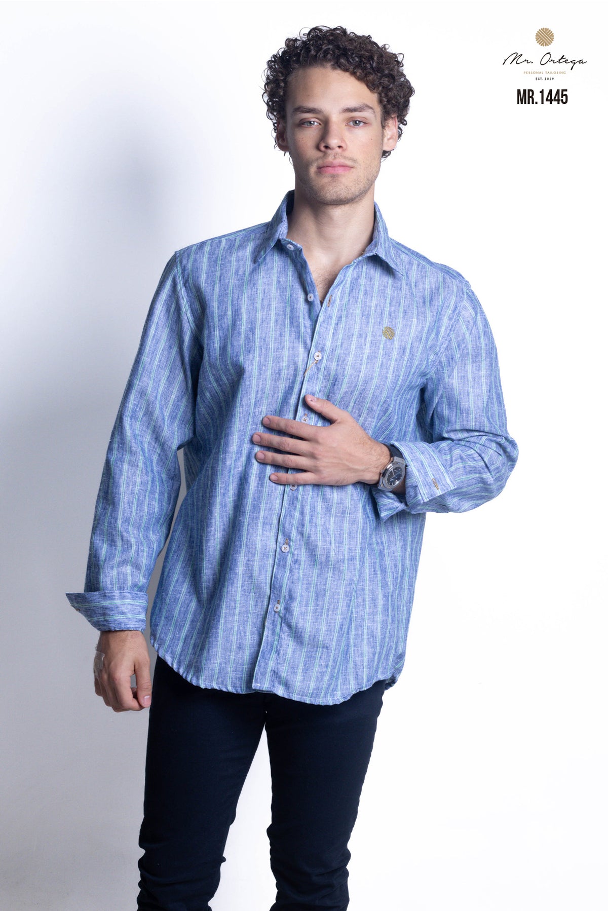 CAMISA RAYAS AZUL MARINO Y VERDE MANGA LARGA