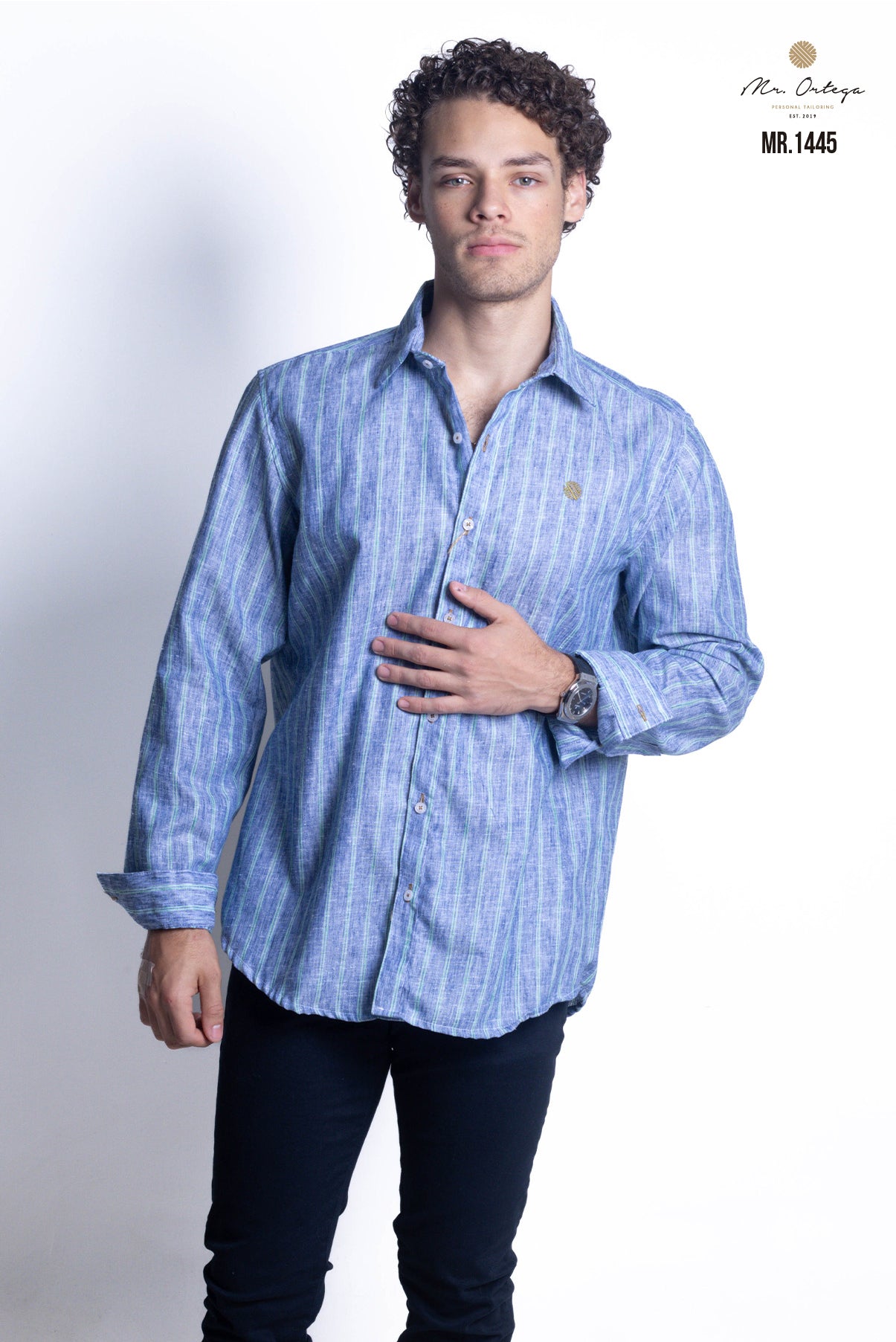 CAMISA RAYAS AZUL MARINO Y VERDE MANGA LARGA