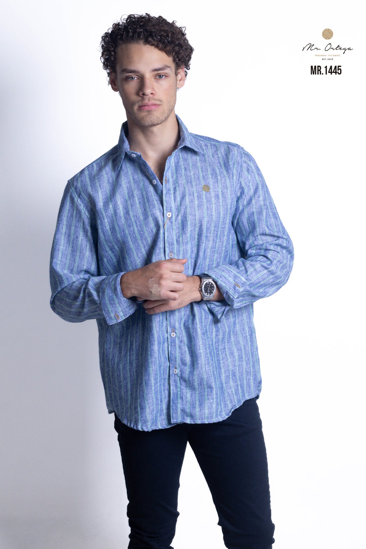 CAMISA RAYAS AZUL MARINO Y VERDE MANGA LARGA