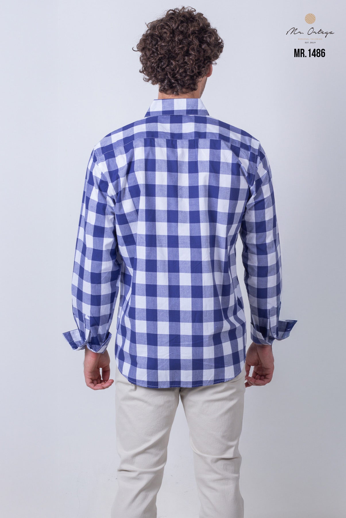 CAMISA CUADROS AZUL Y BLANCO MANGA LARGA