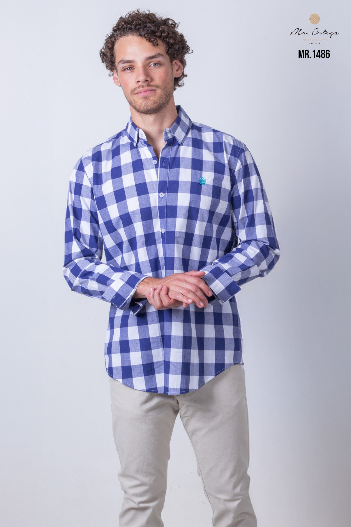 CAMISA CUADROS AZUL Y BLANCO MANGA LARGA