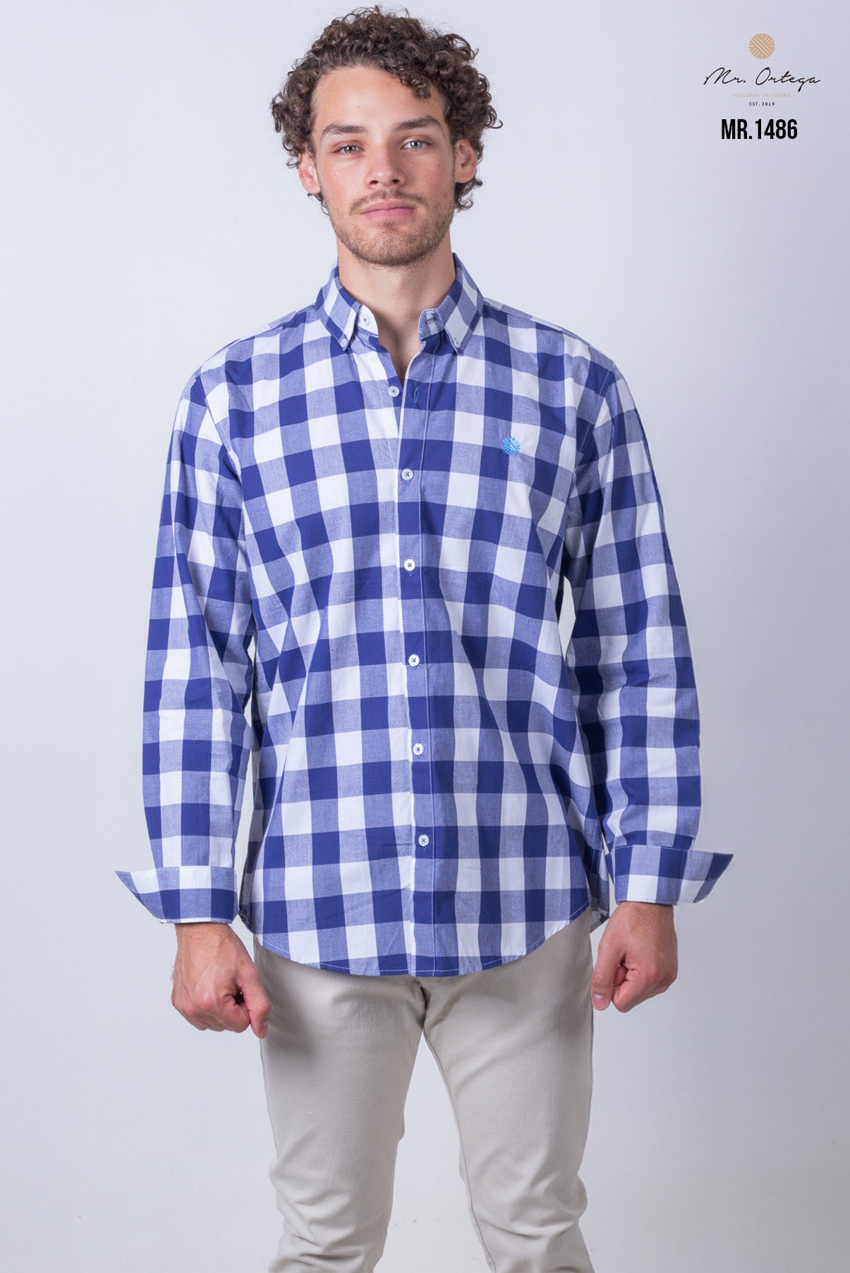 CAMISA CUADROS AZUL Y BLANCO MANGA LARGA