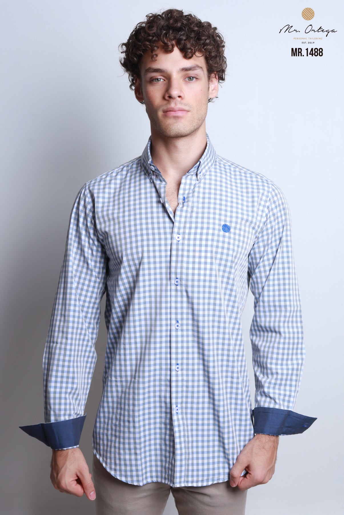CAMISA CUADROS VERDE MUSGO, BLANCO  AZUL Y MANGA LARGA