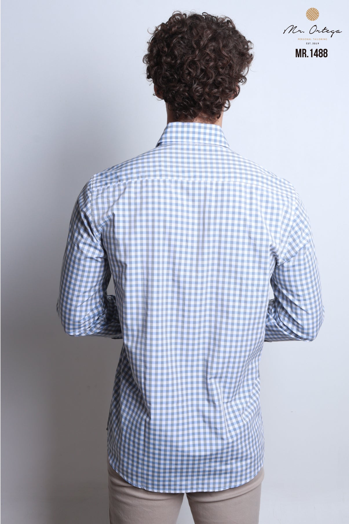 CAMISA CUADROS VERDE MUSGO, BLANCO  AZUL Y MANGA LARGA